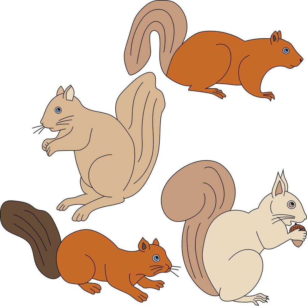 Hand-drawn Squirrel Clipart Doodles vector