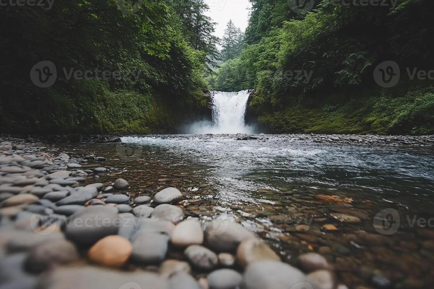 A waterfall in the forest surrounded by rocks photo