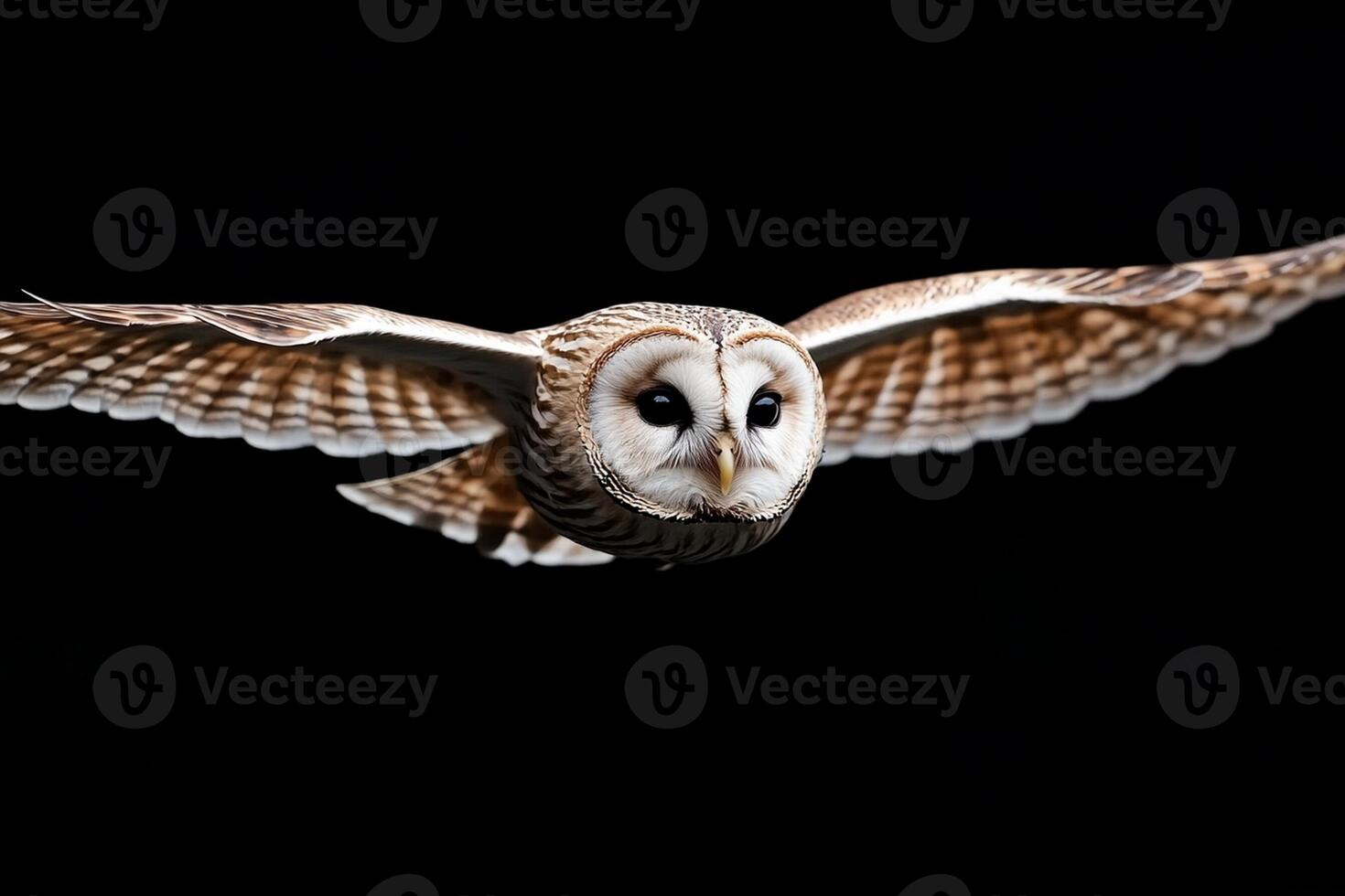 An owl flying in the dark with its eyes open photo
