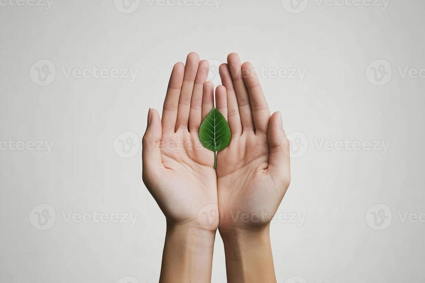 Hands holding a green leaf photo