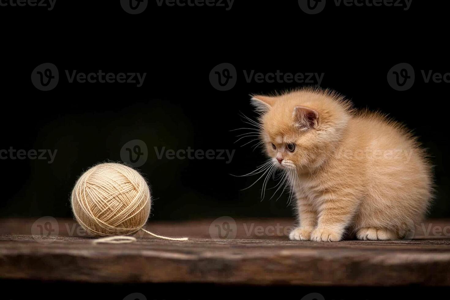 A kitten looking at a ball of yarn photo