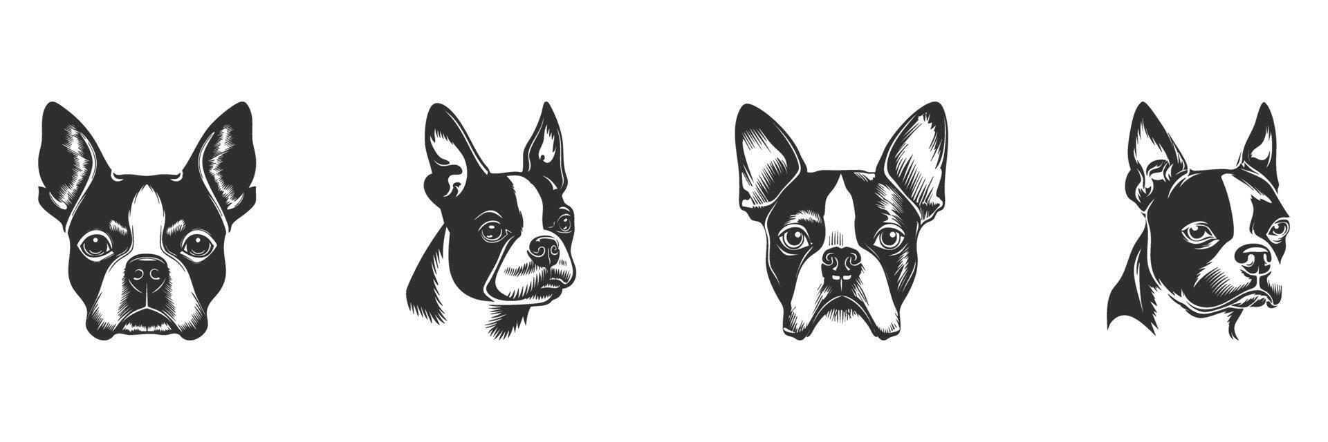 Boston Terrier Dog Faces Silhouette Set. Expressive Canine Portraits In Black And White Isolated Illustration Collection vector