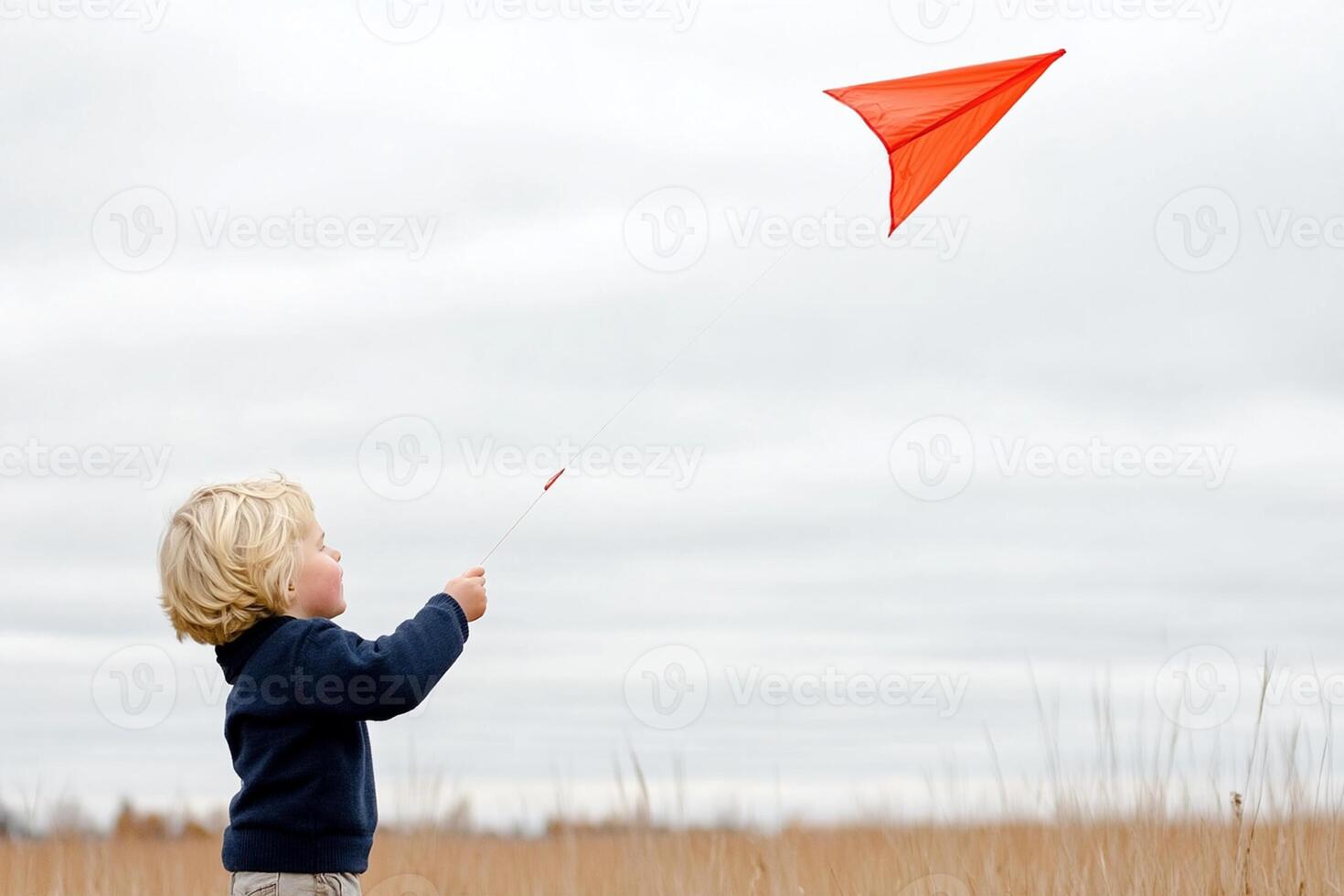 A young boy flying a kite in a field photo