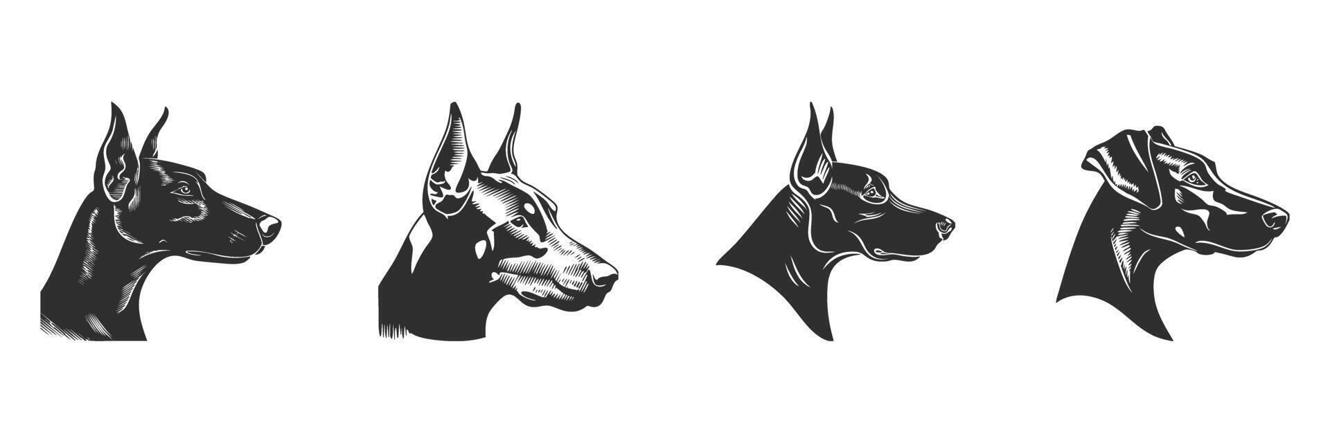 Doberman Dog Head Silhouette Set. Elegant Canine Profiles In Black And White. Isolated Illustration Collection vector