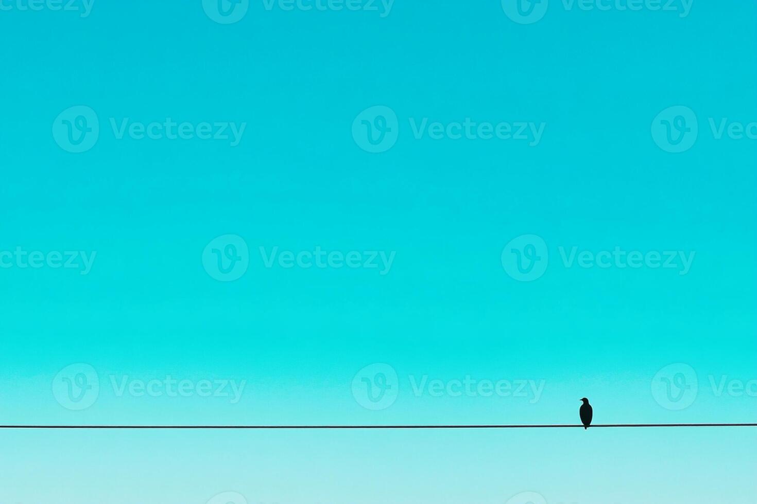 A bird is standing on a wire in front of a blue sky photo