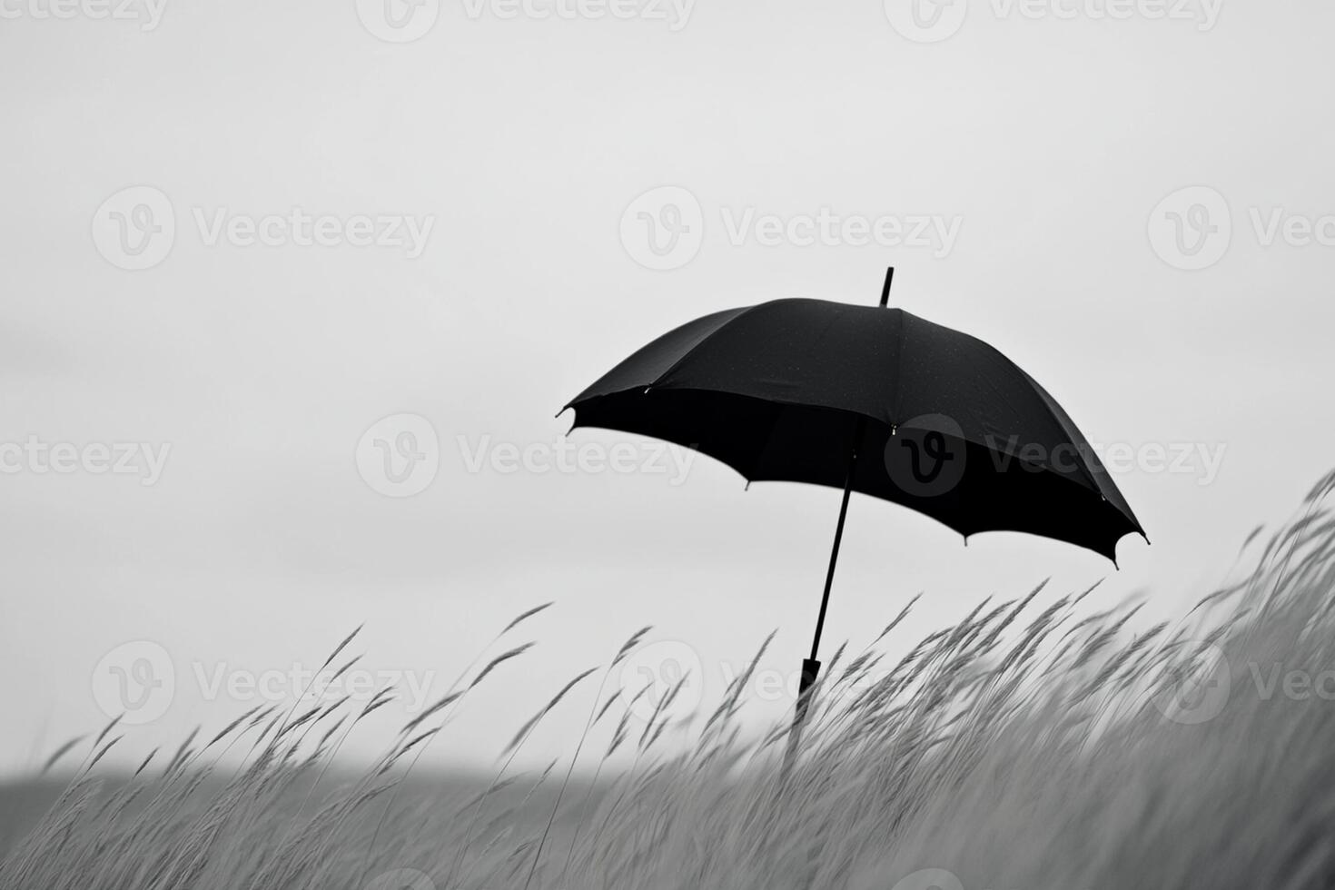 An umbrella is standing in a field of tall grass photo