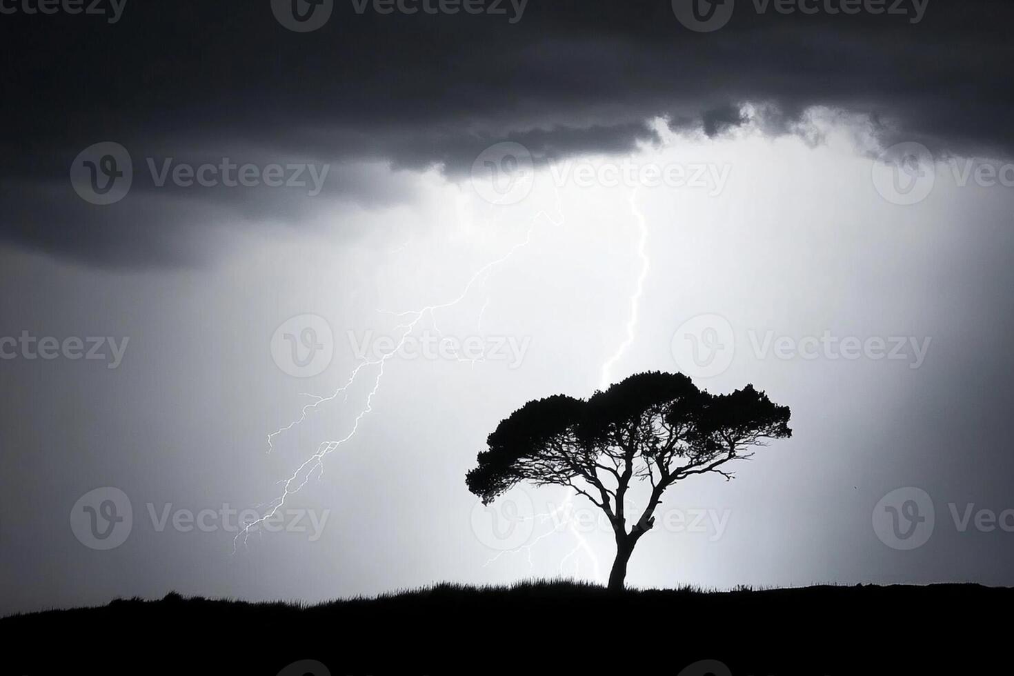 A lone tree stands in the middle of a stormy sky photo