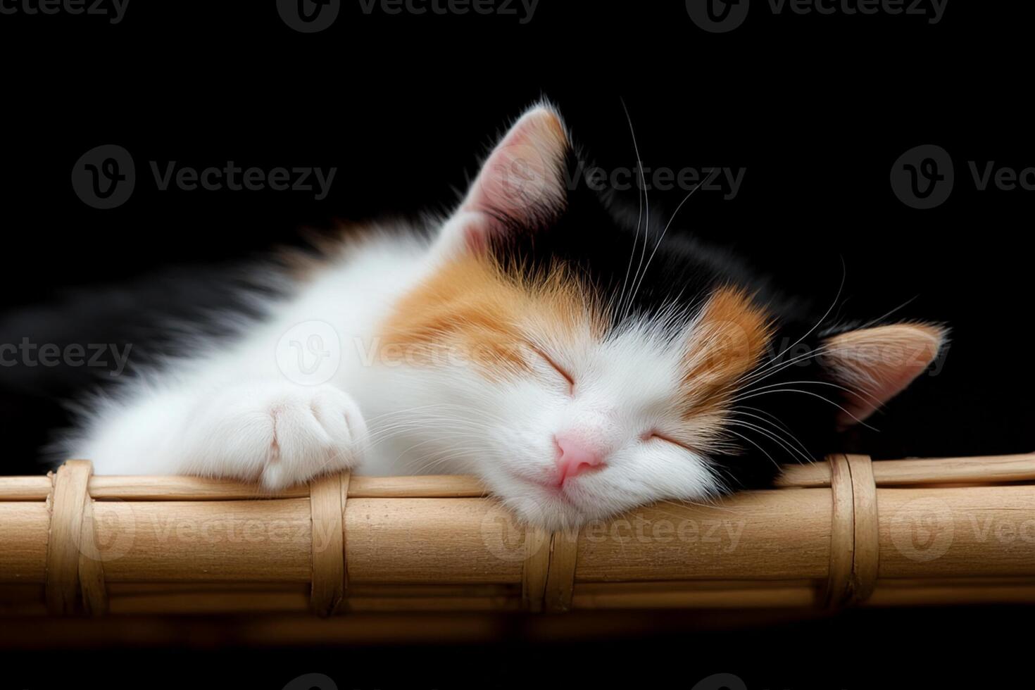 A calico kitten sleeping on a bamboo basket photo