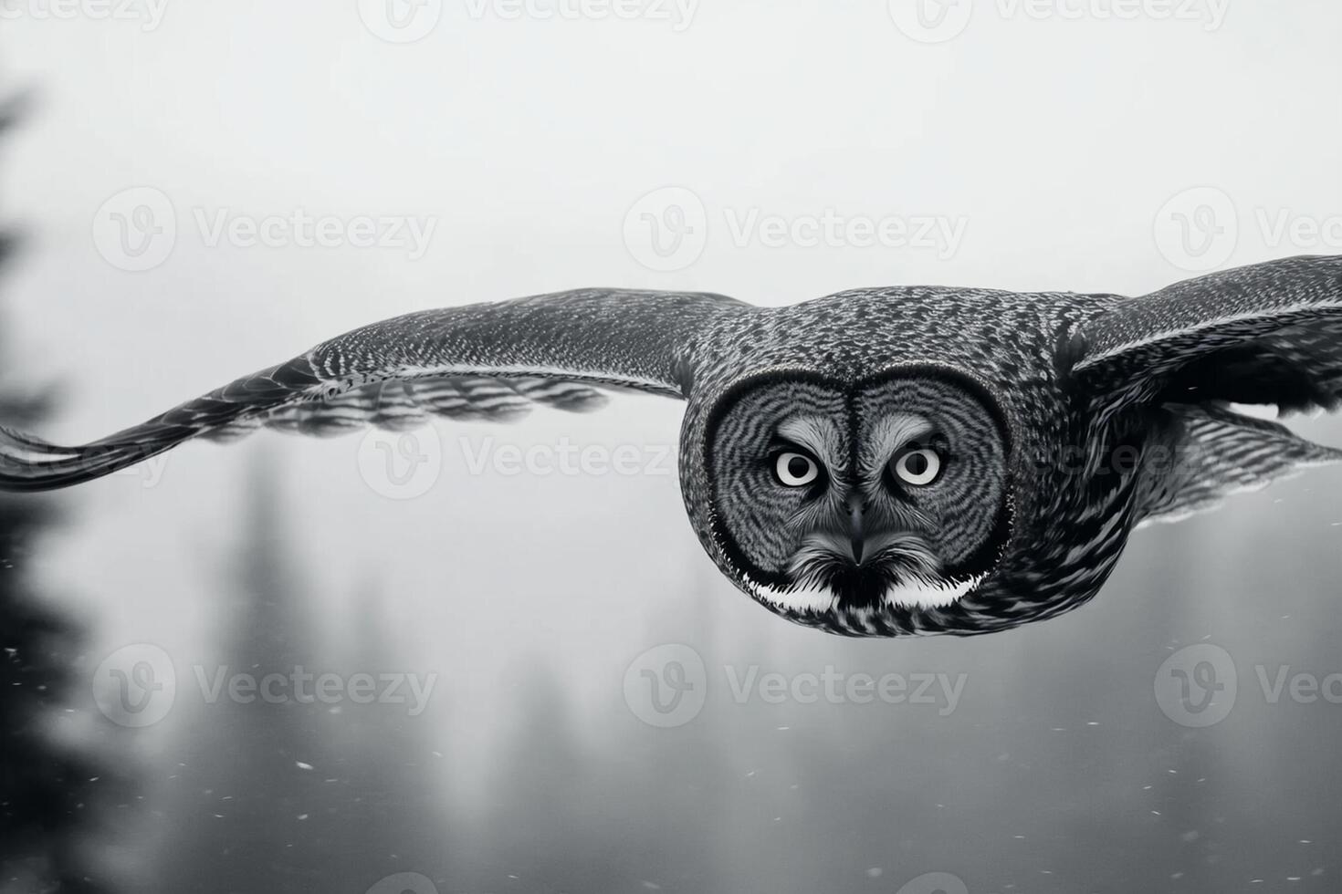An owl flying in the air with a black and white photo