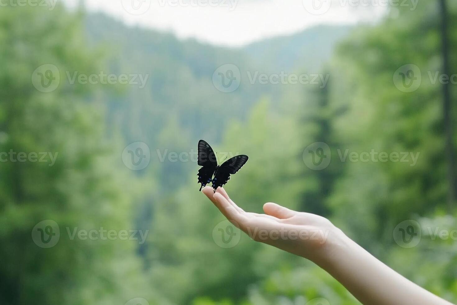 A person holding a black butterfly in their hand photo