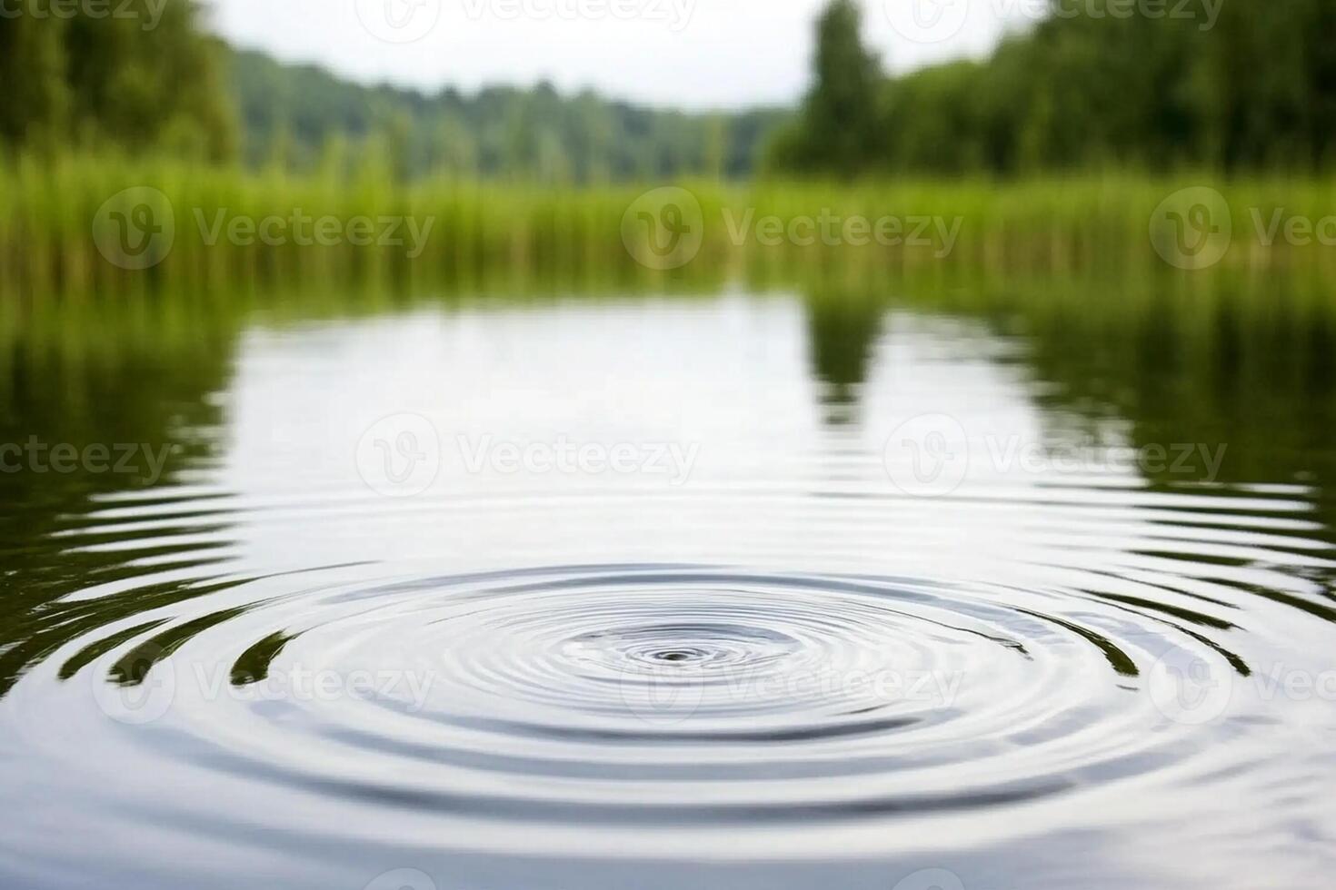 A ripple in a lake with grass and trees photo