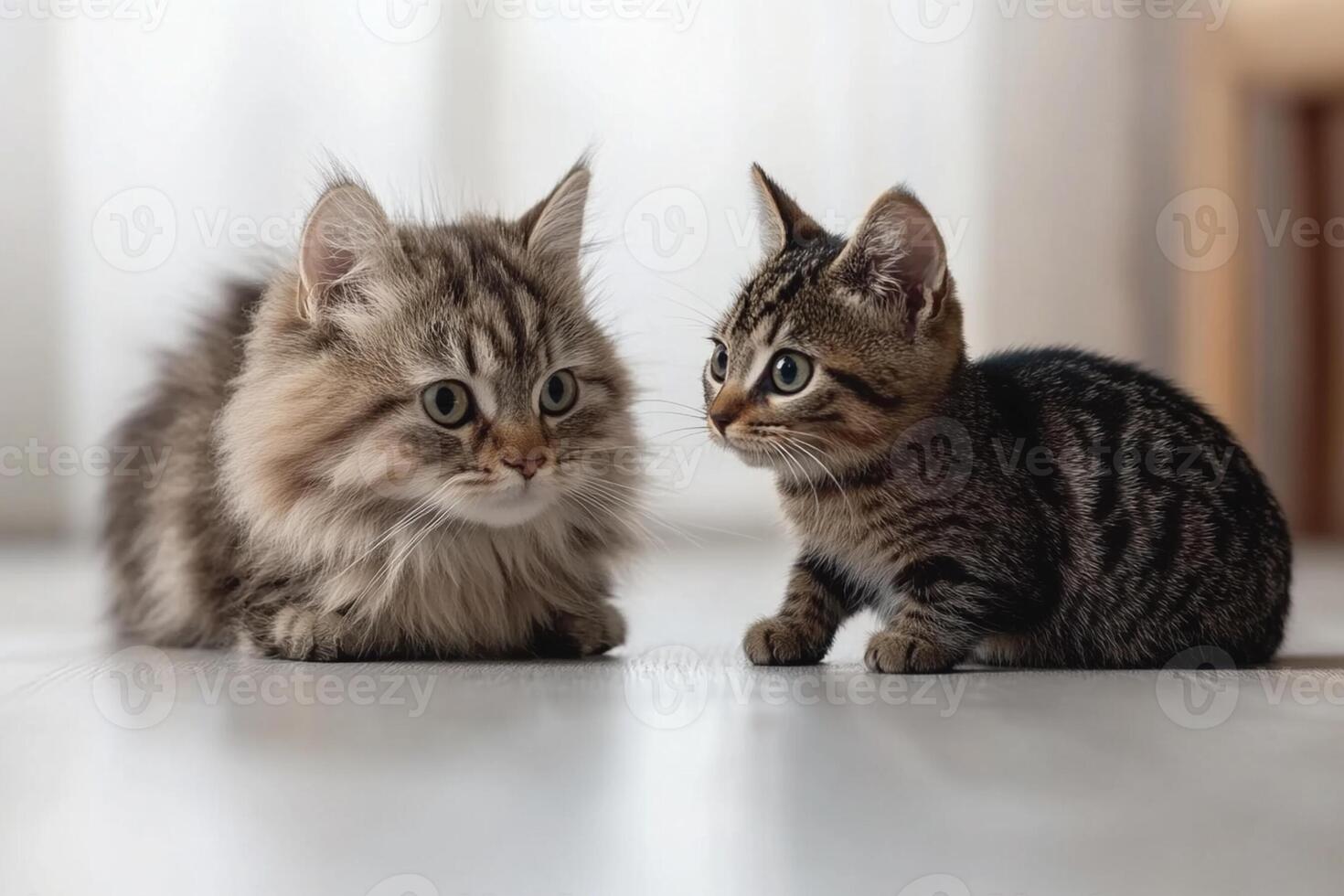 Two kittens sitting on the floor looking at each other photo