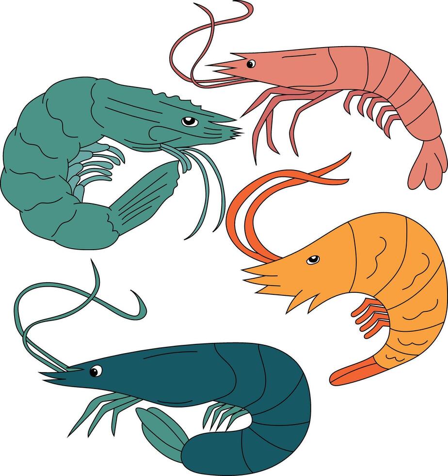 Shrimp Clipart Illustrations vector