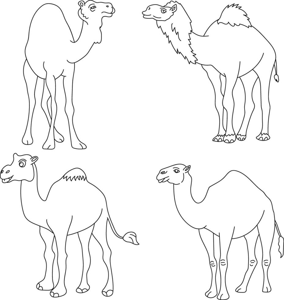 Camel Doodle Clipart Illustrations vector