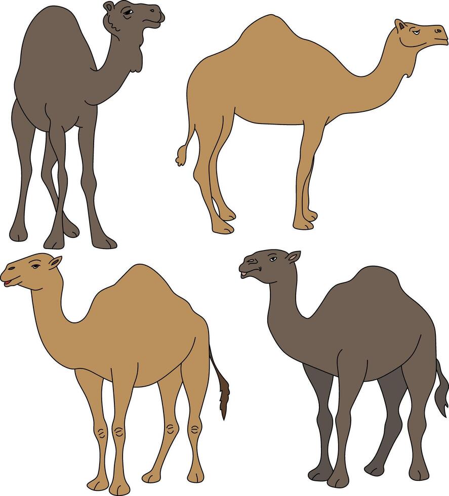 Camel Doodle Clipart Set vector