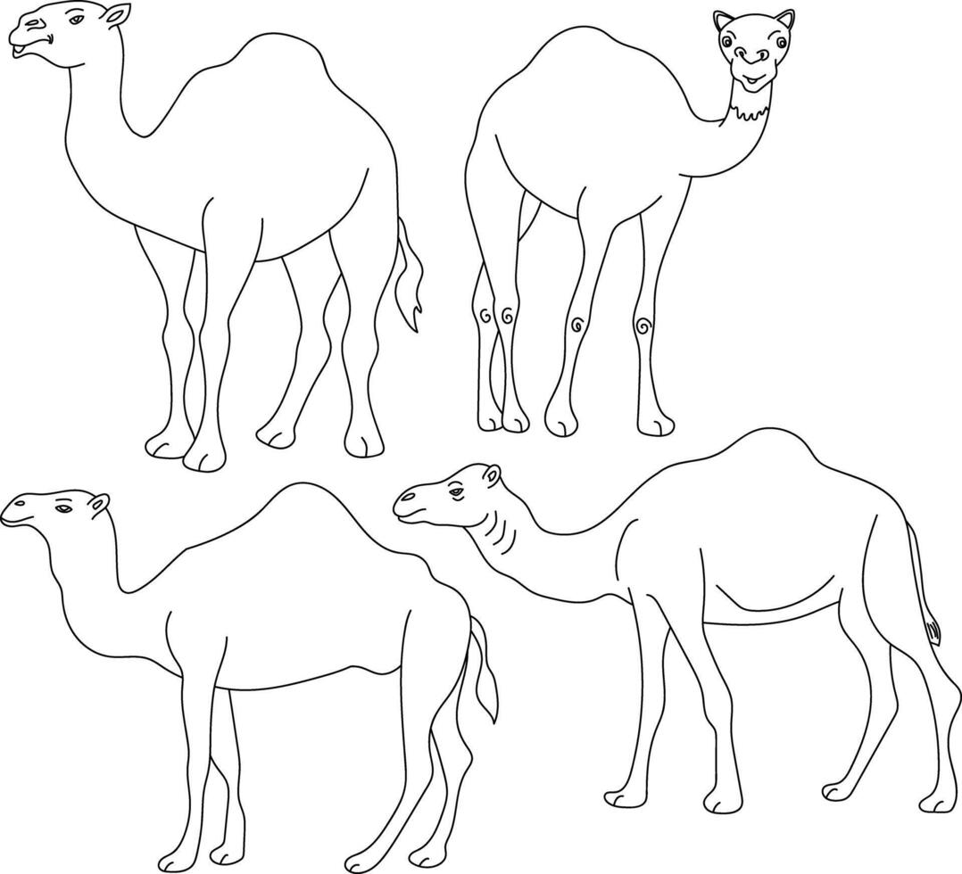 Doodle Camel Clipart Illustrations vector