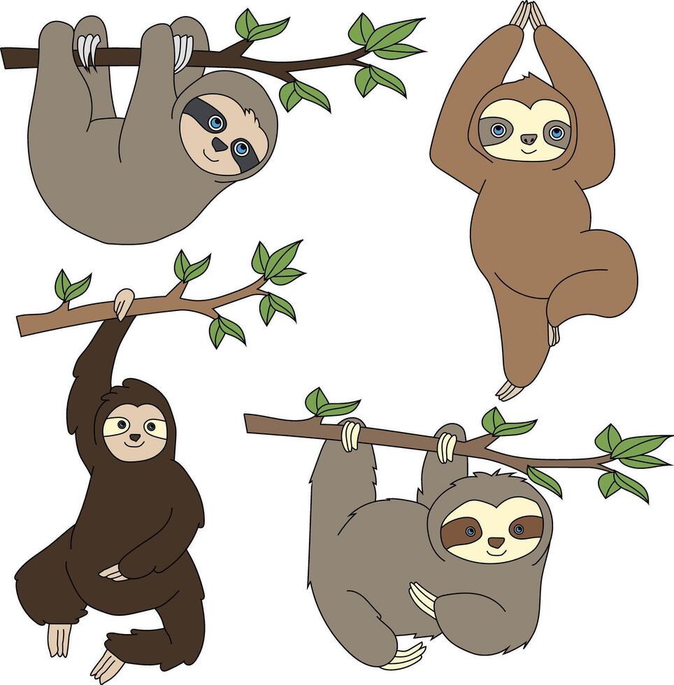Cartoon Sloth Clipart Illustrations vector