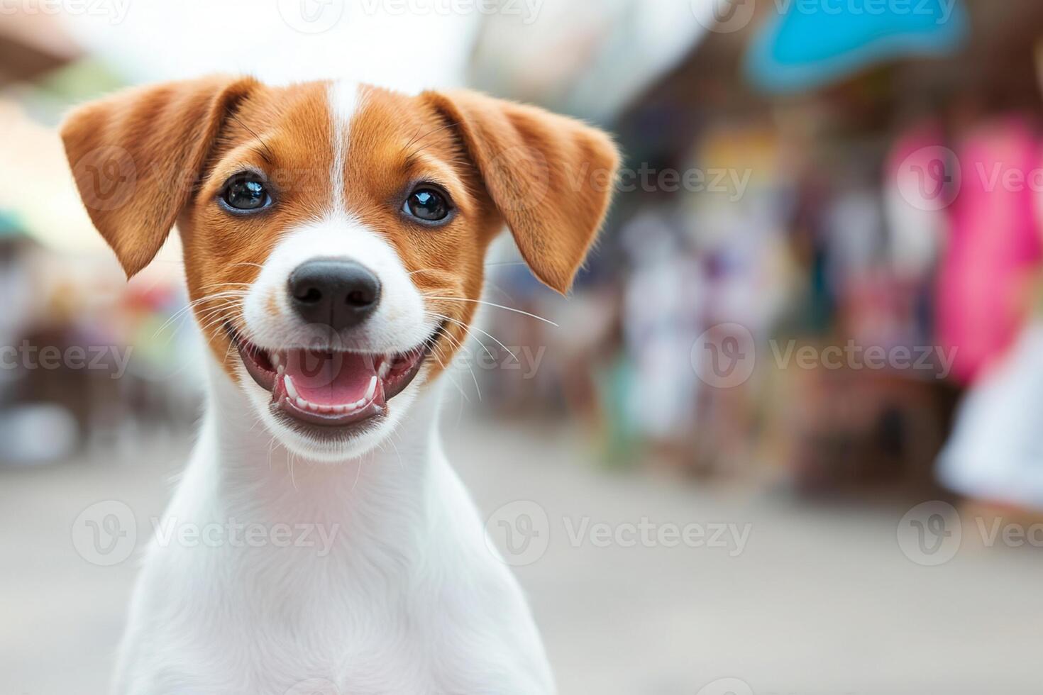 A dog is smiling and looking at the camera photo