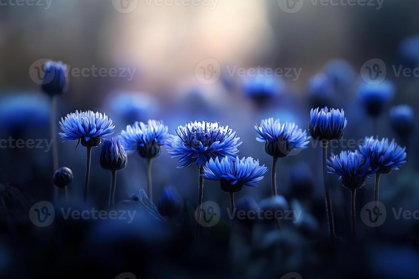 Blue flowers in the dark with a blurry background photo