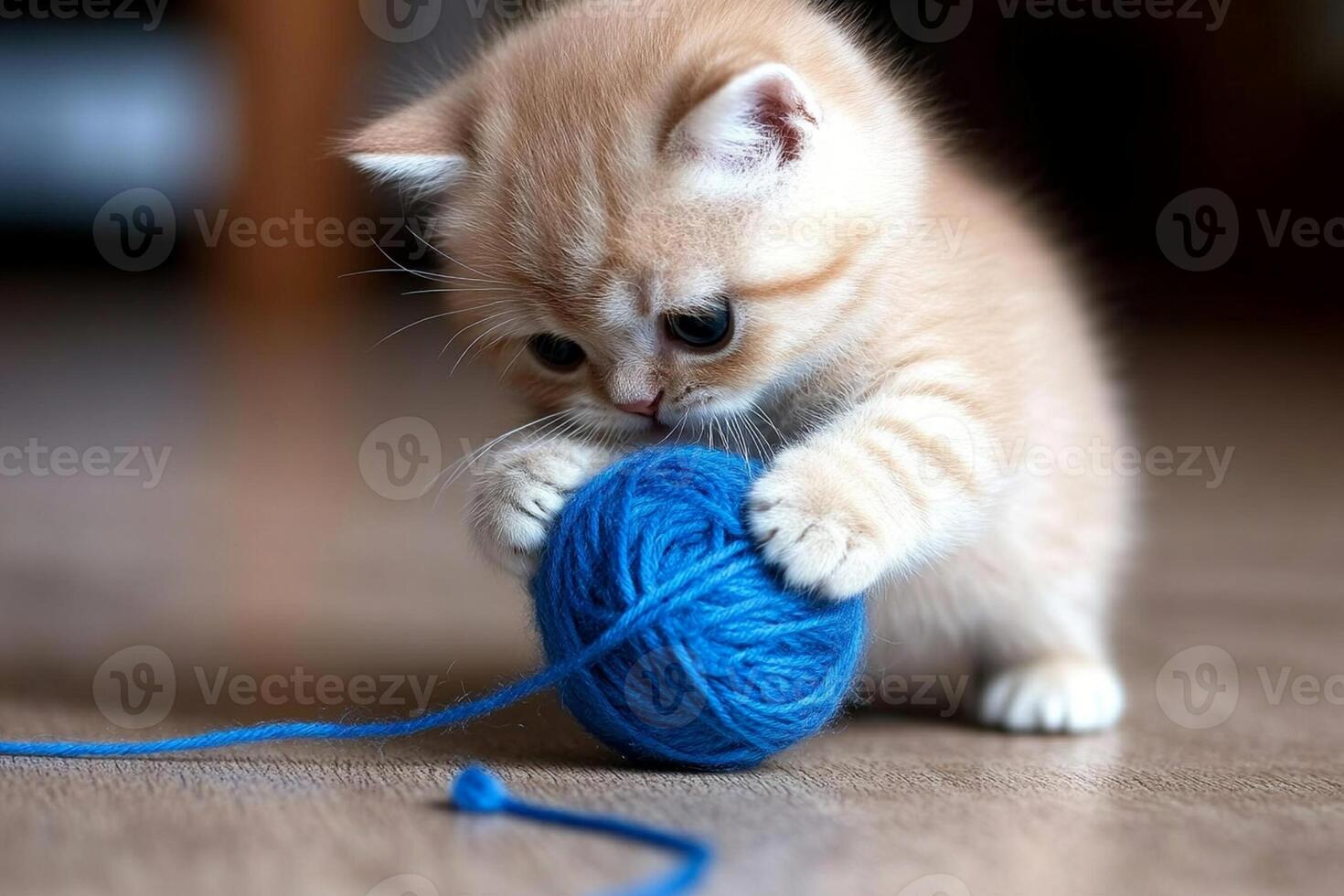 A kitten playing with a ball of blue yarn photo