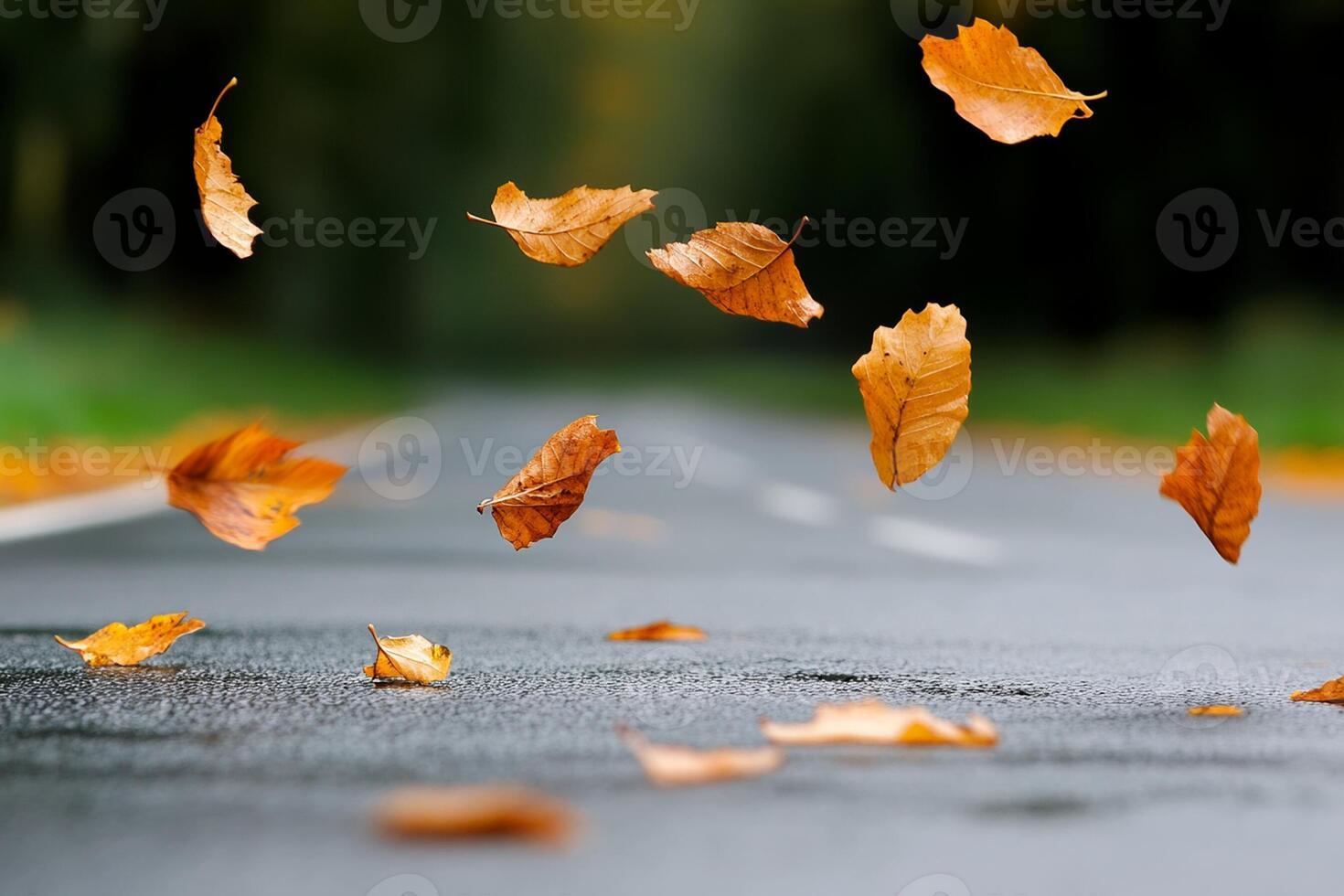 Autumn leaves falling from the sky on a road photo