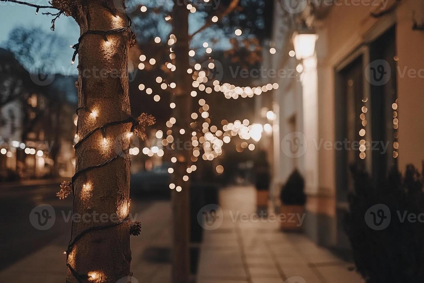 A street with lights on it and a tree photo