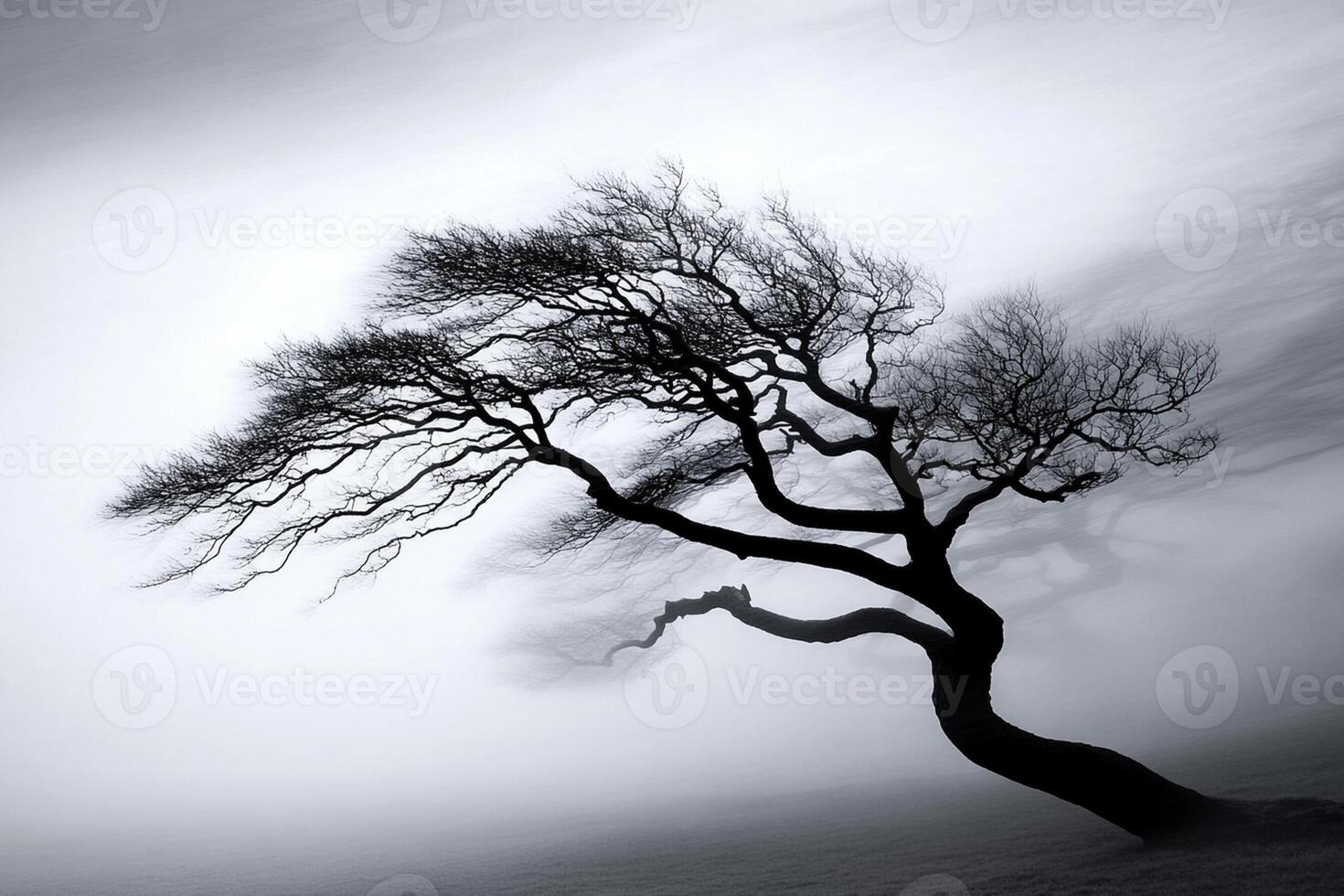 A black and white photo of a tree in the fog