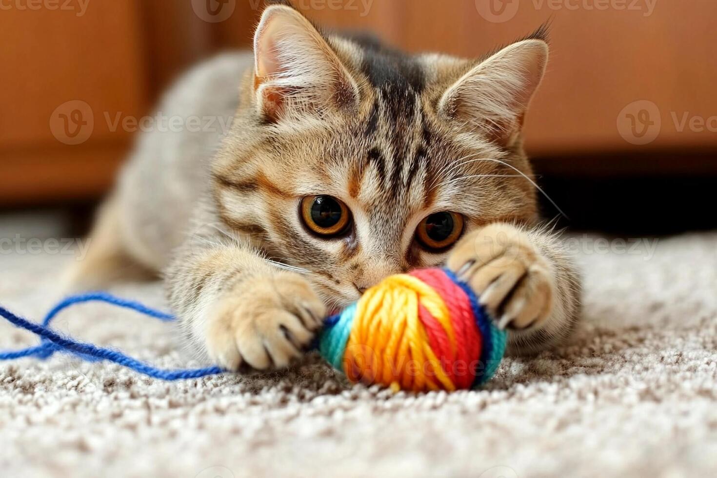 A cat playing with a ball of yarn photo