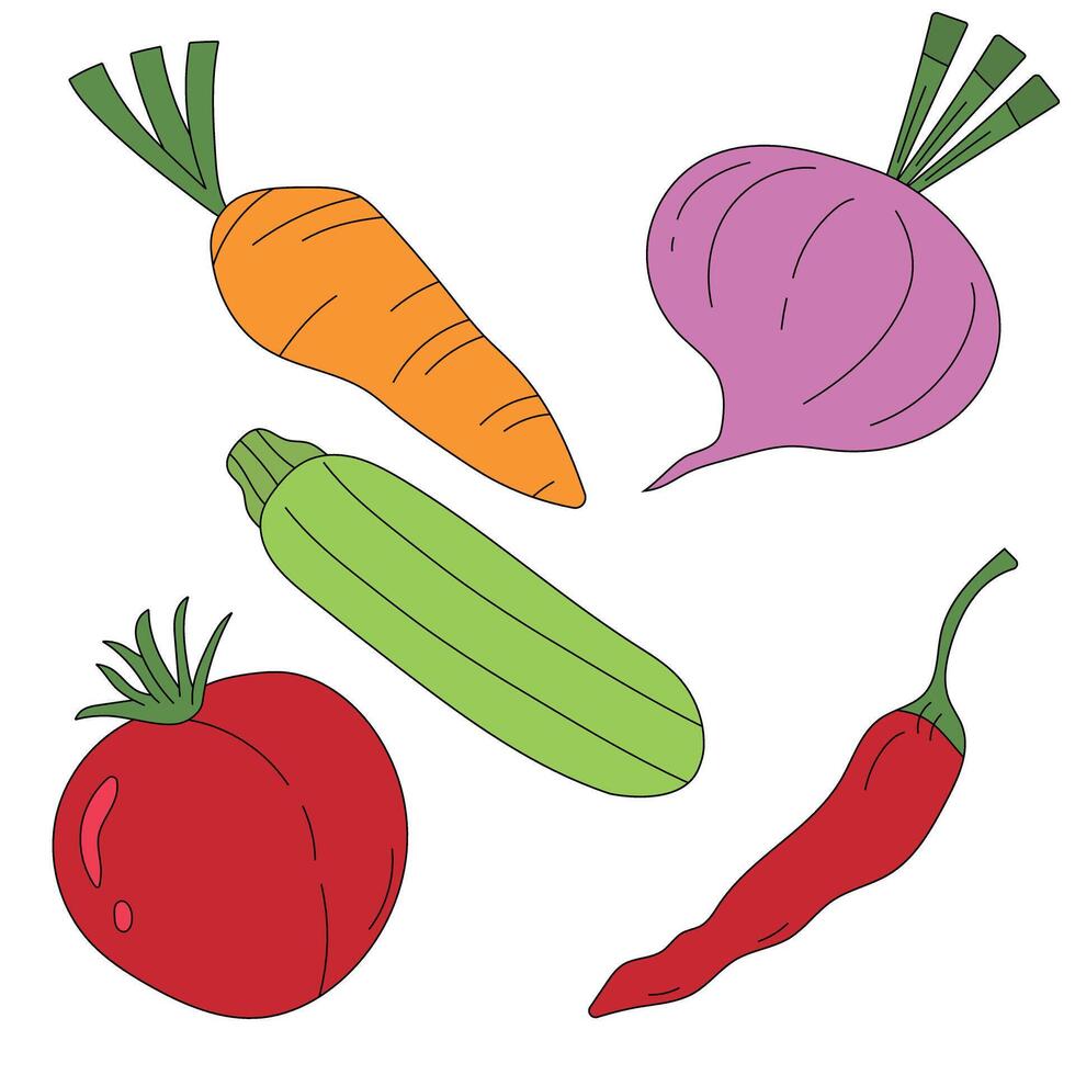 Hand-drawn Vegetable Clipart Collection vector