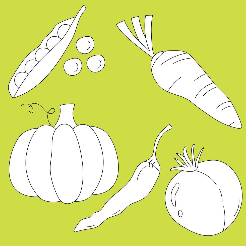 Doodle Vegetable Graphics vector