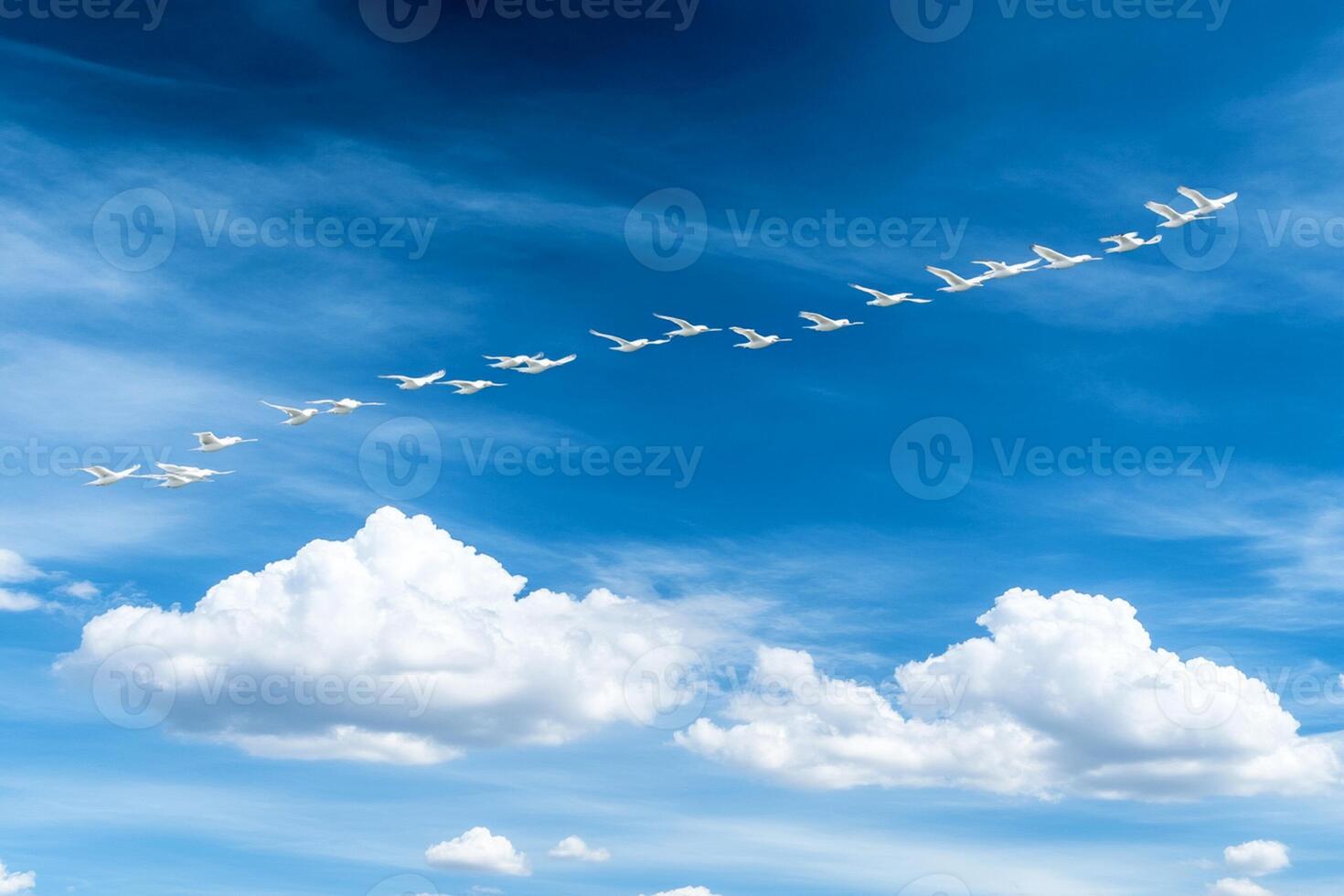 A flock of white birds flying in formation photo