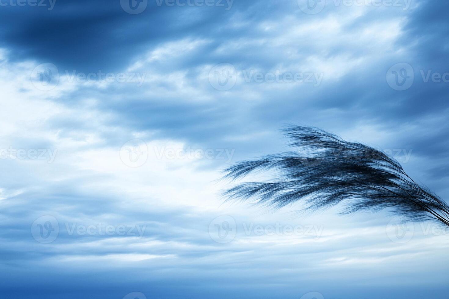 Wind blowing in the windy blue sky photo
