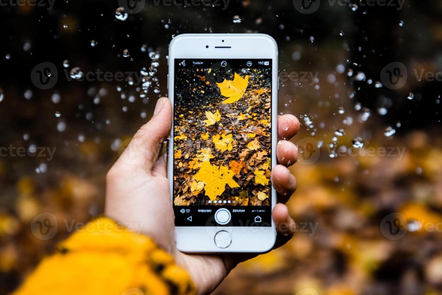 Autumn photography tips for iphone photo