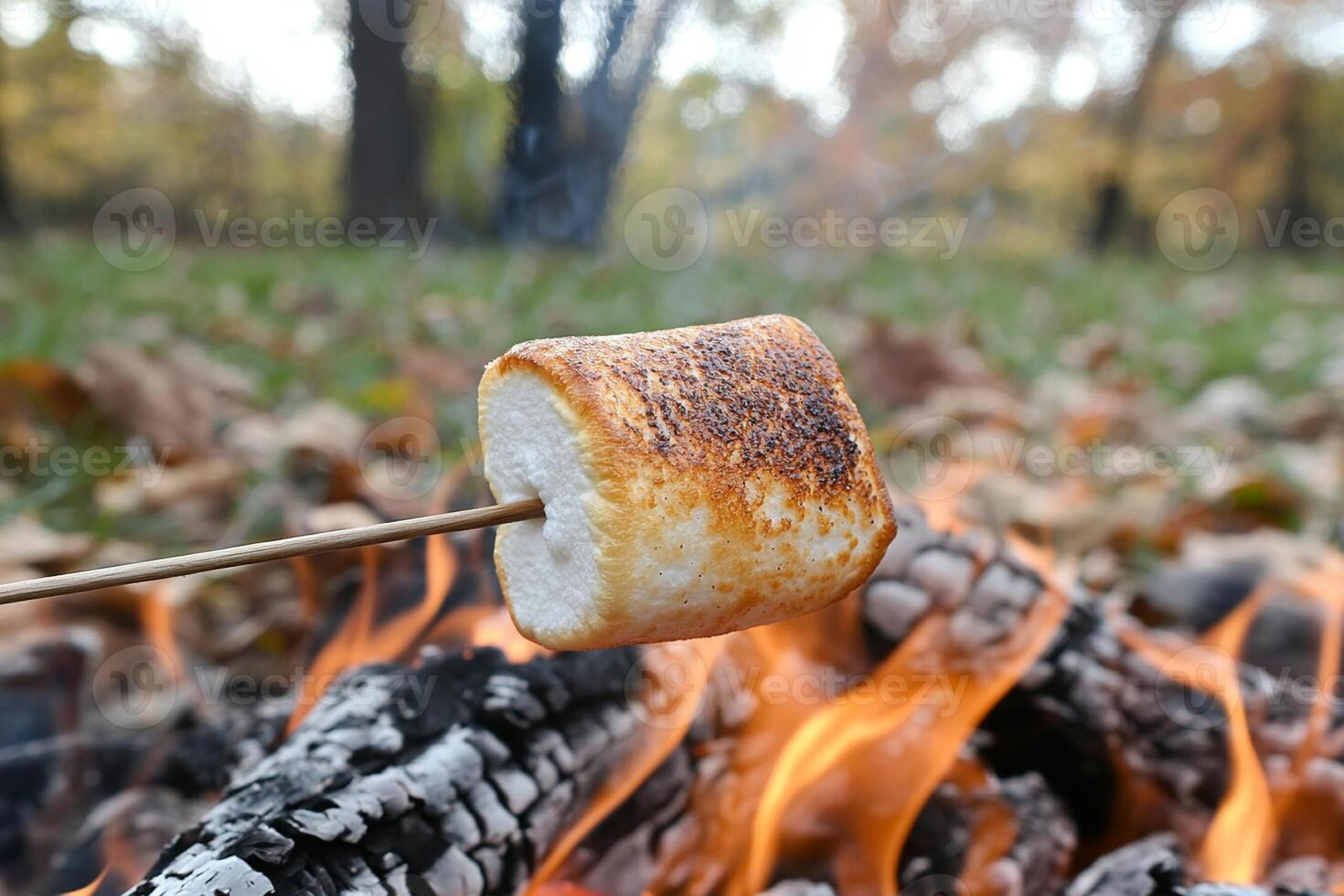 A marshmallow is being roasted over an open fire photo