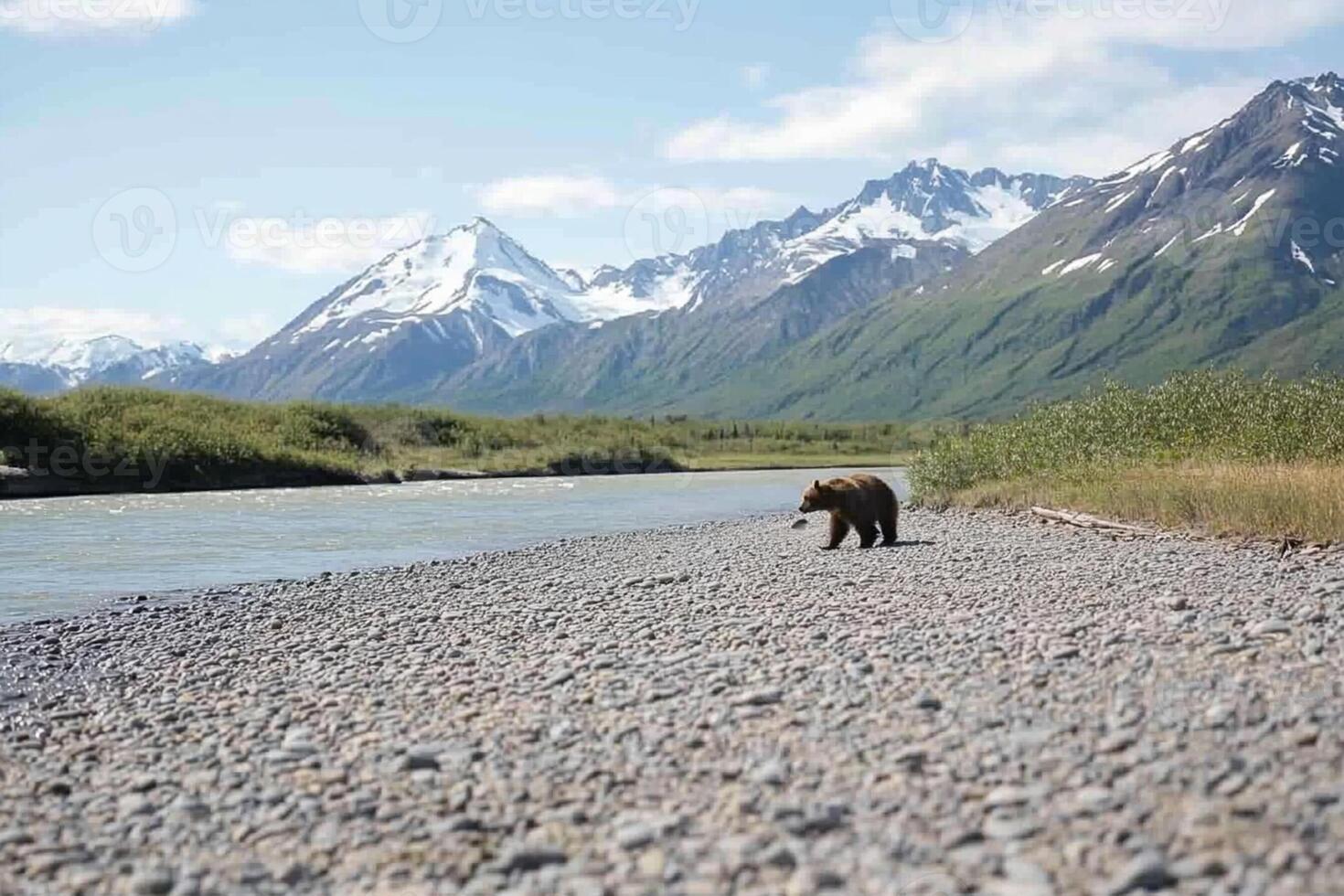 A brown bear walking along a river bank with mountains in the background photo