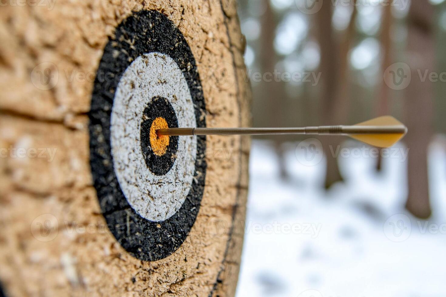 A close up of a target with an arrow in it photo