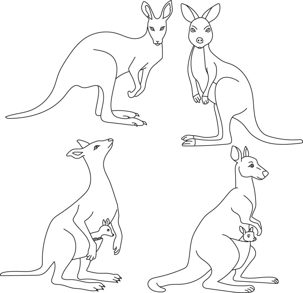 Kangaroo Doodle Clipart Illustrations vector