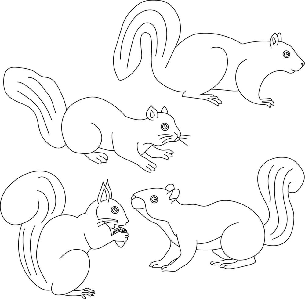 Hand-drawn Squirrel Clipart Illustrations vector