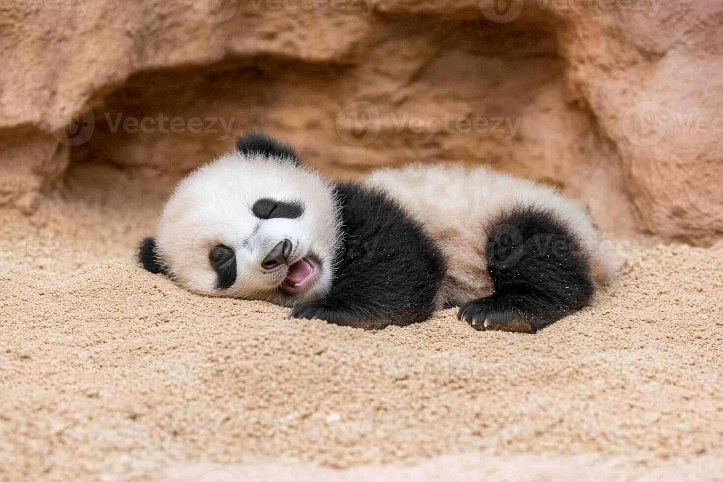A panda bear laying on the ground in a sand pit photo