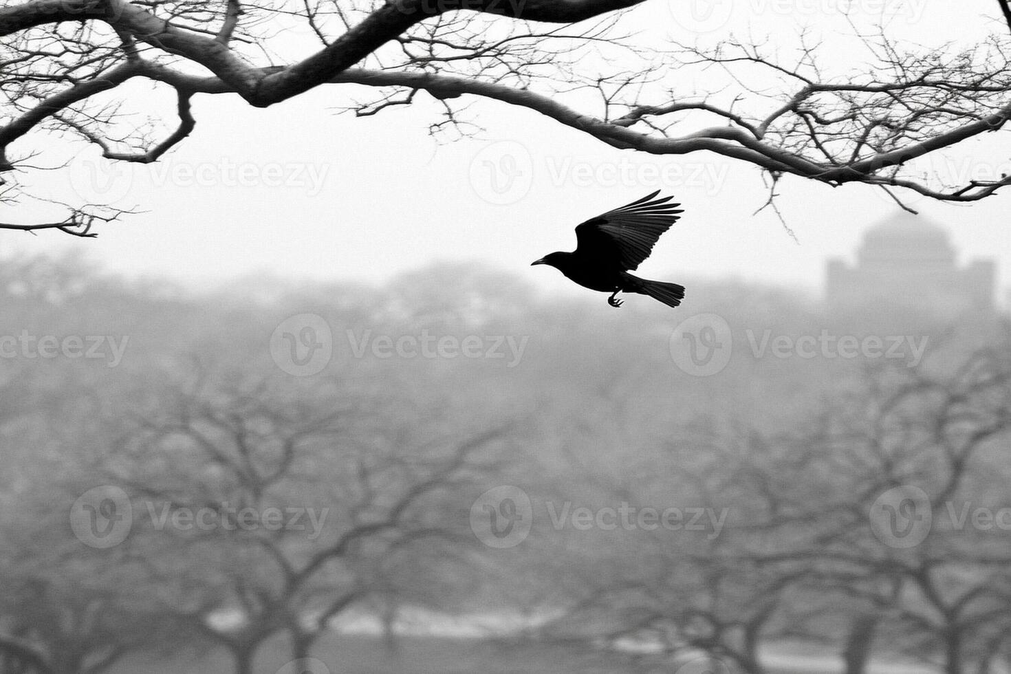 A black bird flying through the trees photo