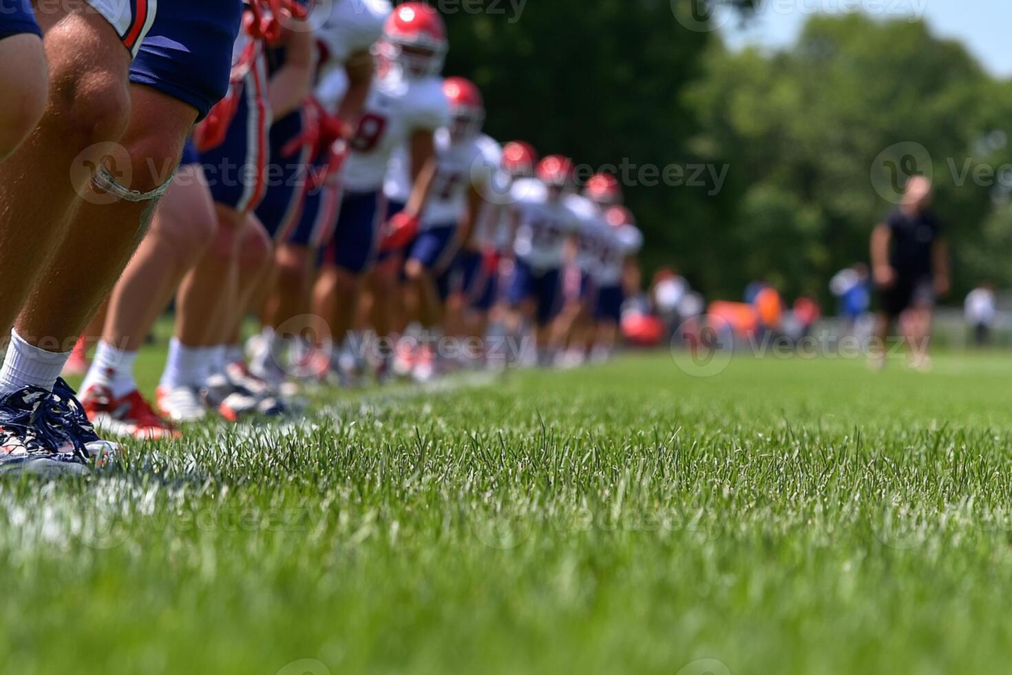 Football players line up on the field photo