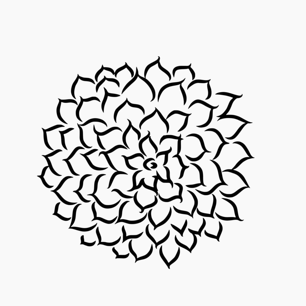 Dahlia flower Floral line art drawing doodle outline illustration vector