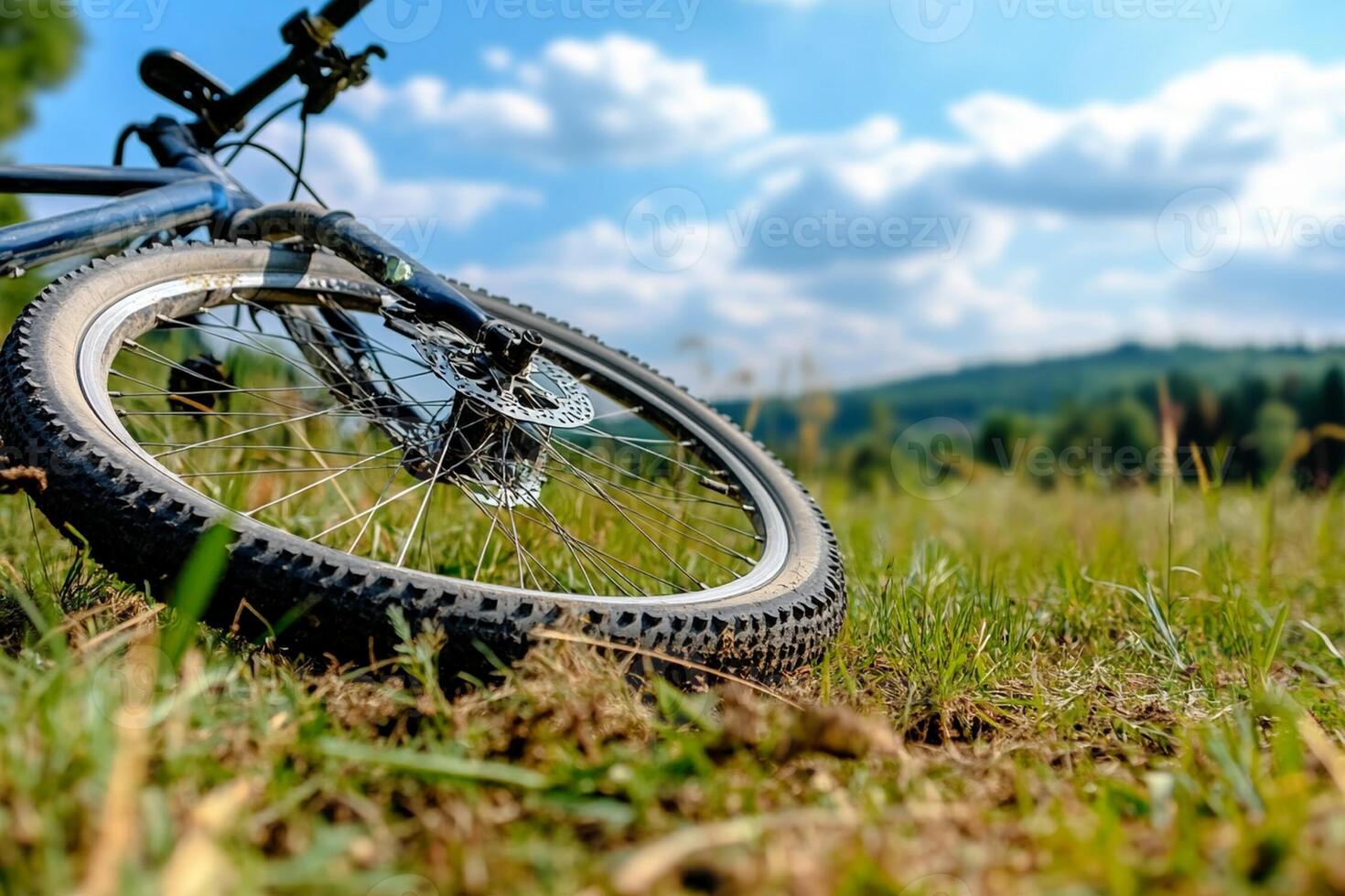 A bicycle is sitting on the grass in a field photo