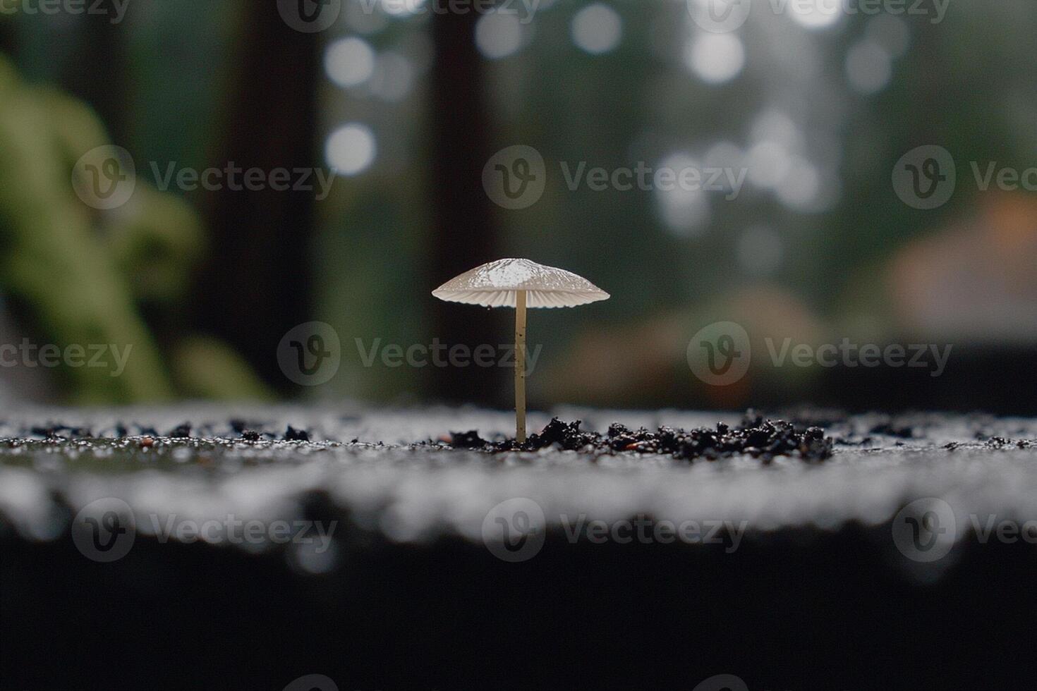 A small umbrella is standing in the middle of a forest photo