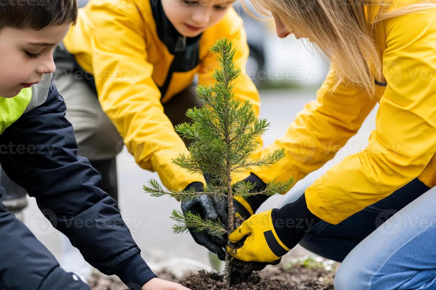 Three children and a woman are planting a tree photo
