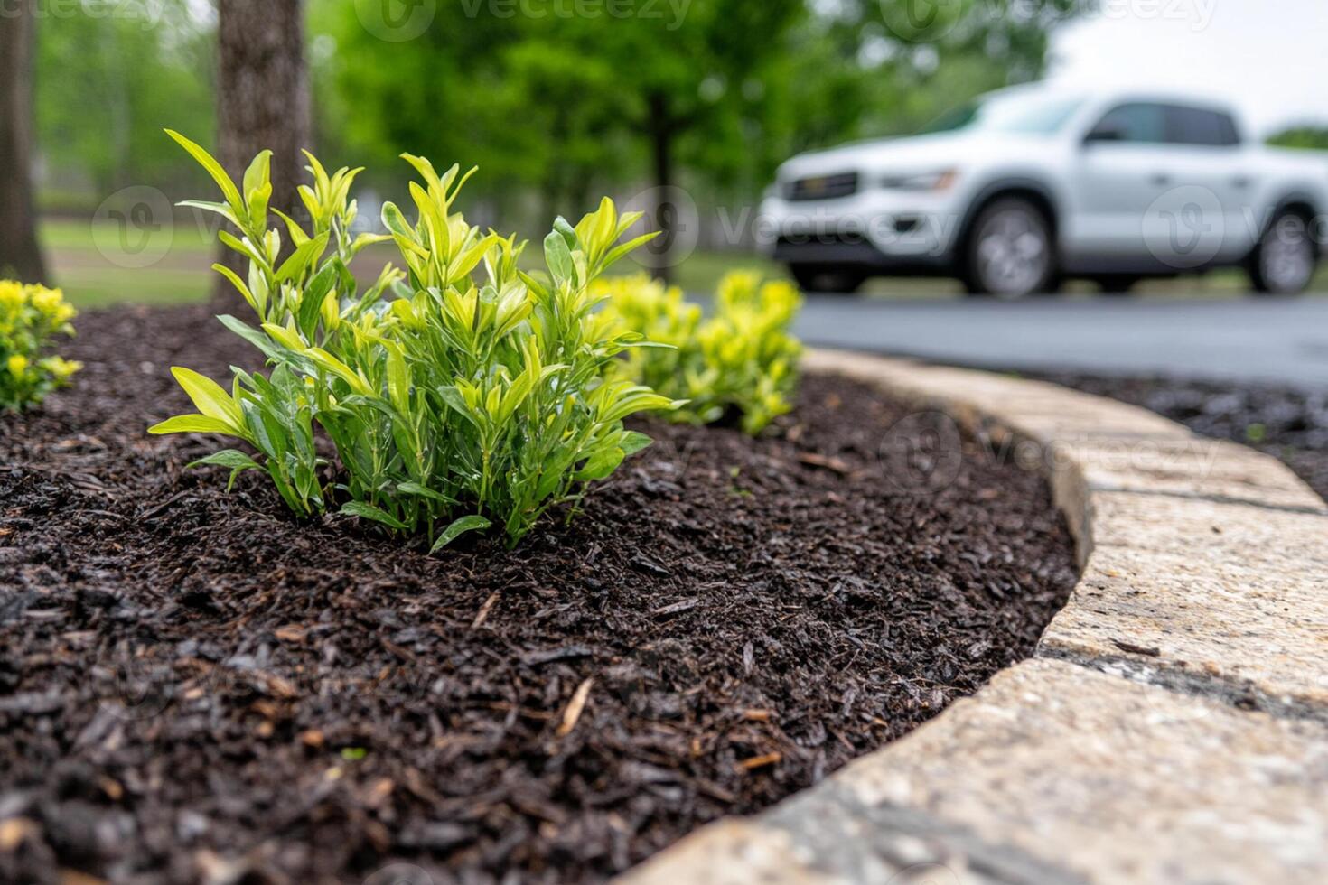 A car drives by a flower bed with mulch photo