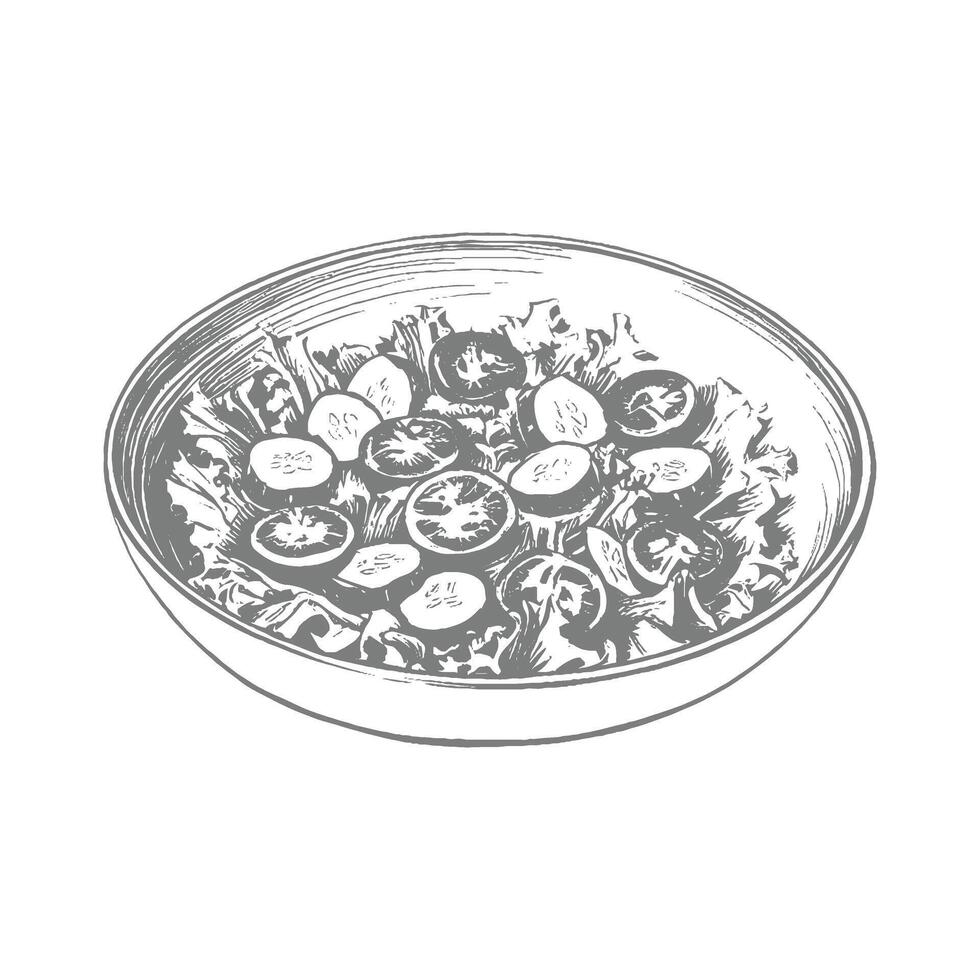 Healthy Salad with Tomatoes, Cucumbers and Lettuce Set Illustration vector