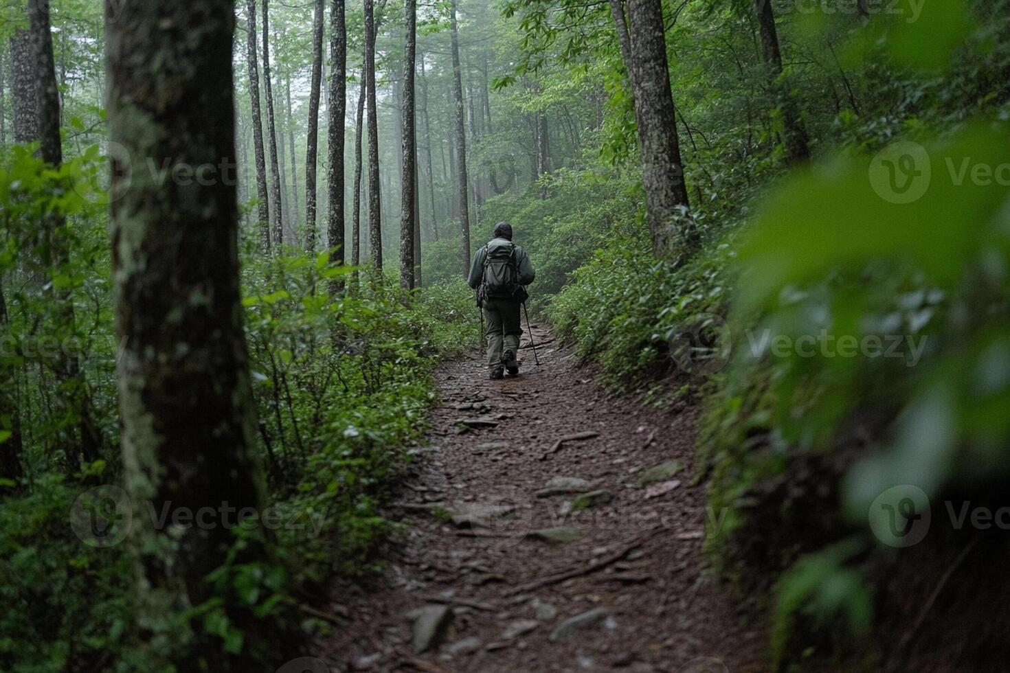A man walks through the woods on a trail photo