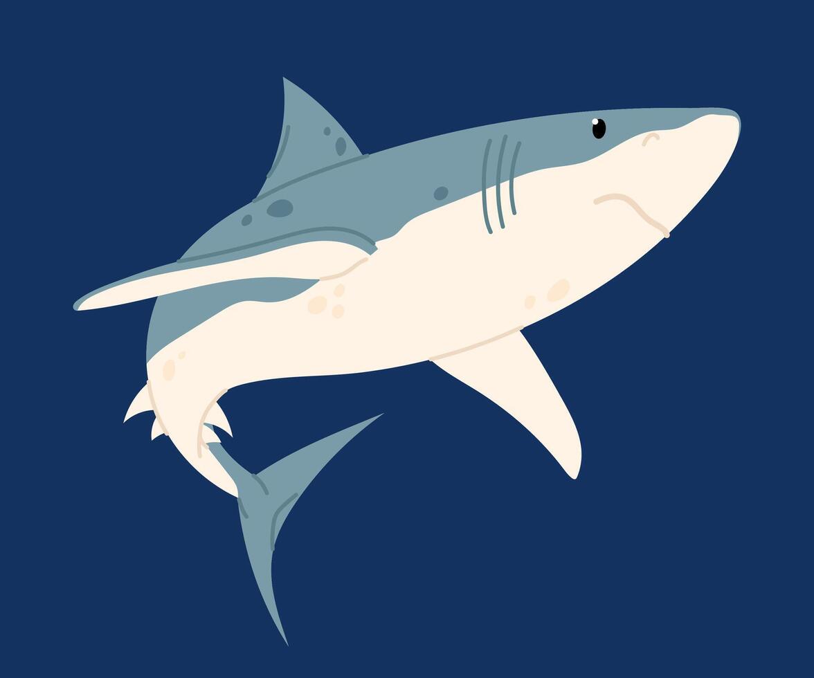 Shark. Marine animal. Predatory fish. Flat illustration of the dangerous shark. vector