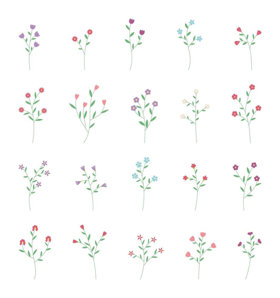 Fresh Blooming Colorful Flower with Leaves vector